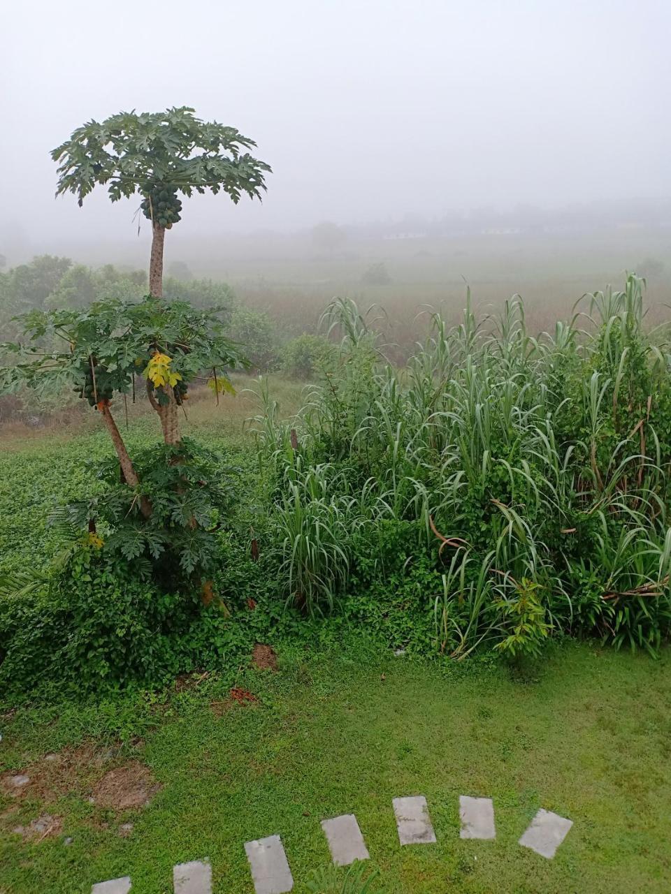 Greenfield Residence Prachinburi Eksteriør bilde